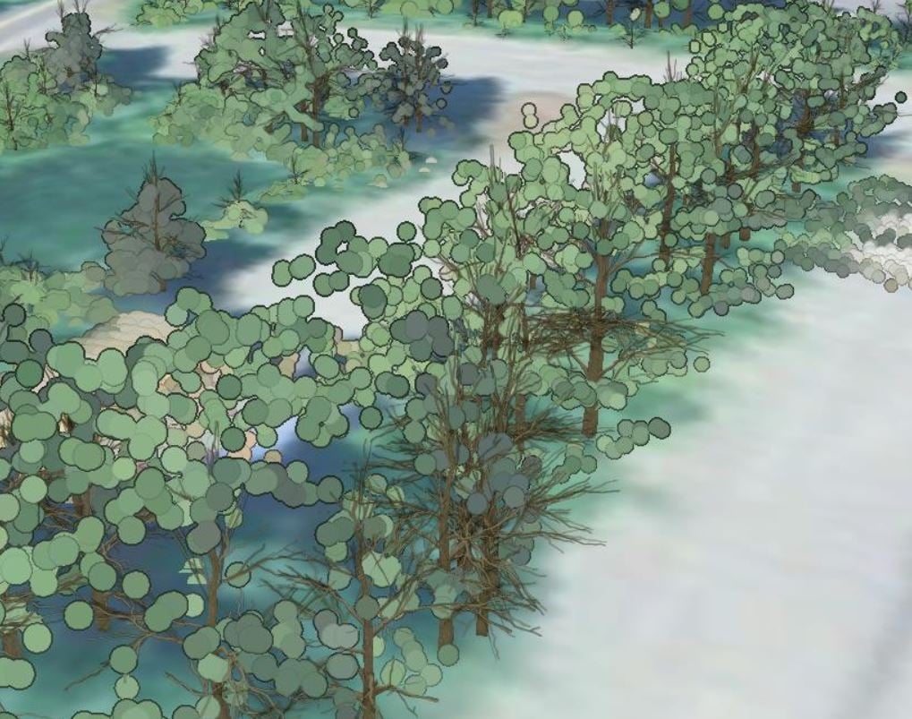 Trees using point cloud and Dead Tree Symbology to represent trunks and branches